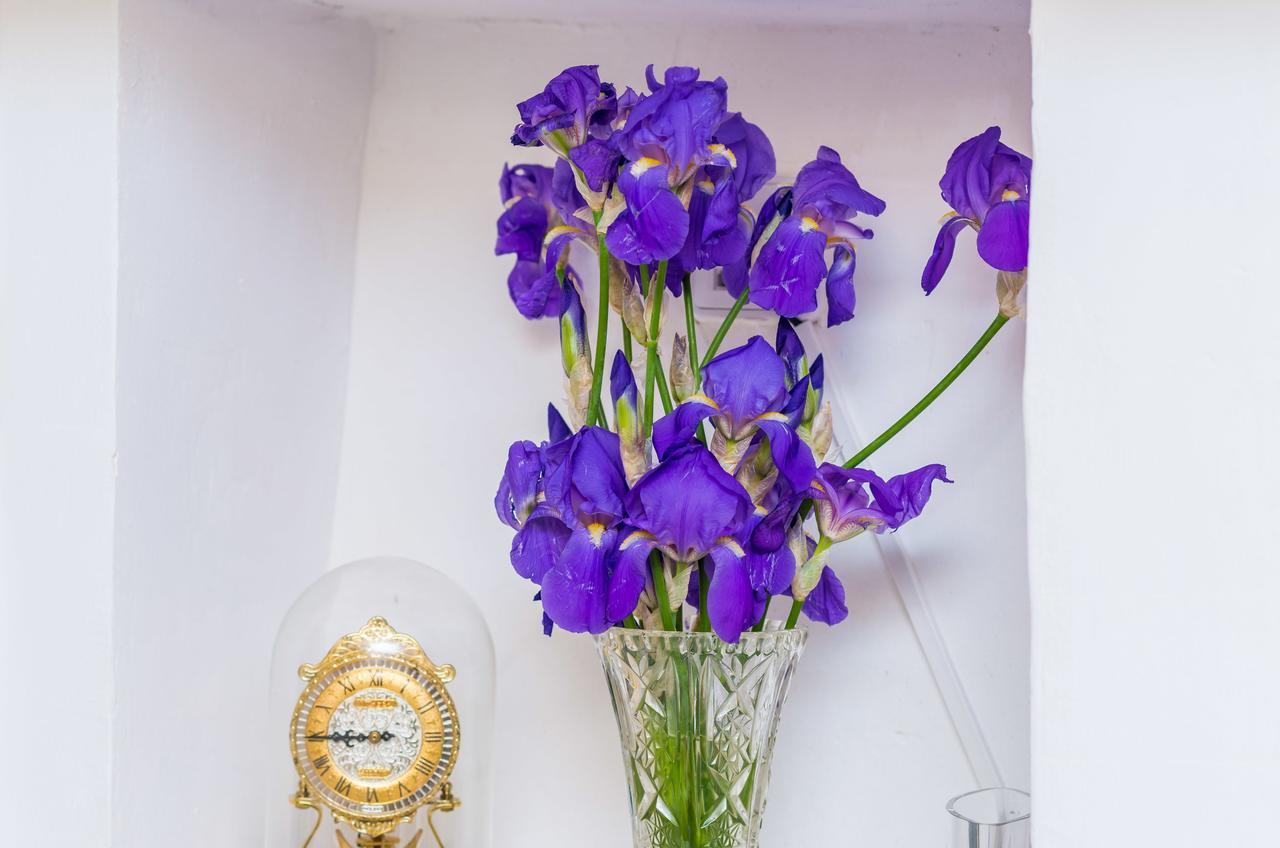 Art House Zanze Daire Dubrovnik Dış mekan fotoğraf